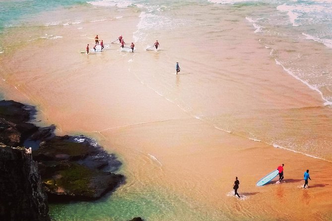 National Park West Coast Half Day Tour from Lagos - The Guides and the Overall Experience