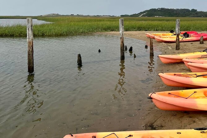 National Seashore Tour with Guided Hike - Exploring the Province Lands Visitor Center and Whale Viewing