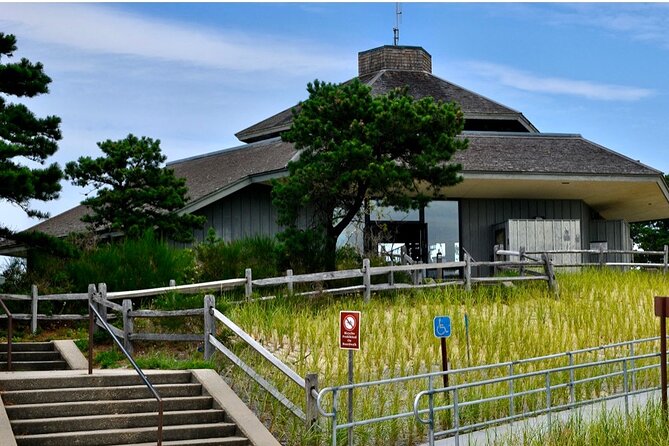 National Seashore Tour with Guided Hike - A Walk in the Beech Forest