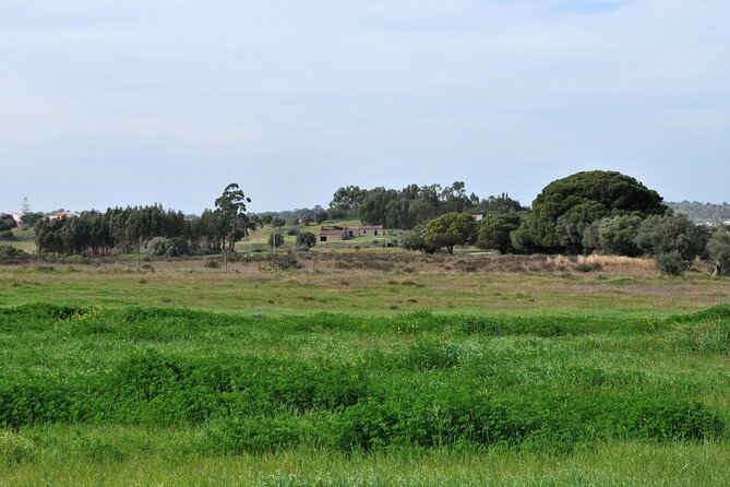 NATURA TOUR - Countryside of Lagos - ECO TUK and LOCAL guide - The Comfort and Convenience of the Private Tuk-Tuk Experience