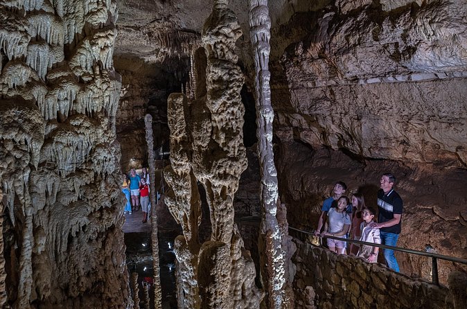 Natural Bridge Caverns Discovery Cavern Tour - Family-Friendly Activities at Natural Bridge Caverns