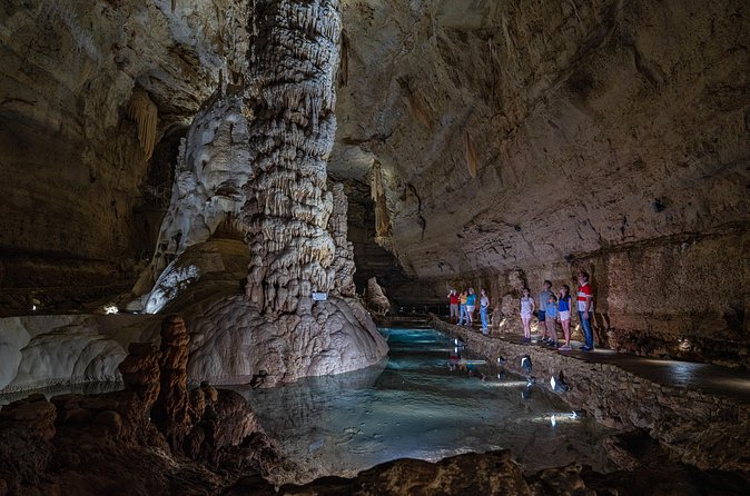 Natural Bridge Caverns Discovery Cavern Tour - Practical Details on Booking and Amenities