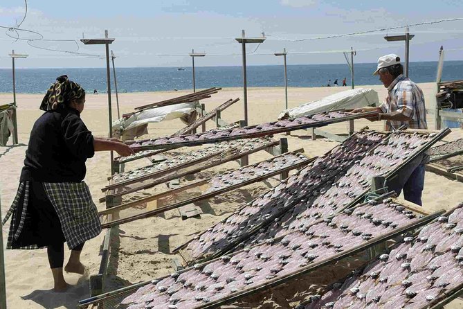 Natural Caves - Alcobaça - Nazaré - West Coast - Óbidos start in Lisbon private - Visiting Óbidos, the Medieval Town