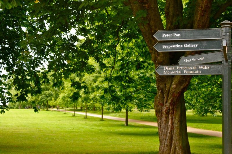 Natural History Museum e Kensington Garden - Exploring the Natural History Museums Dinosaur Exhibits and Fossil Collections