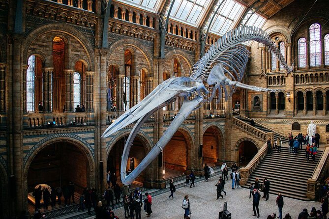 Natural History Museum London - Exclusive Guided Museum Tour - Key Points