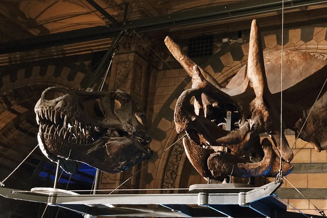Natural History Museum London - Exclusive Guided Museum Tour - Tailored Experience for Families and Individual Visitors