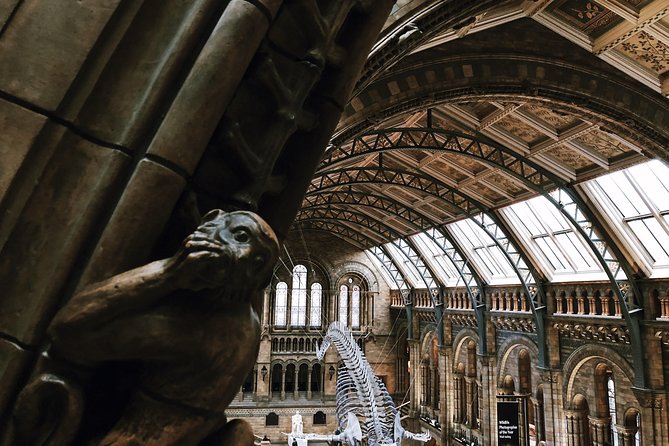 Natural History Museum London - Exclusive Guided Museum Tour - Practical Details and Accessibility