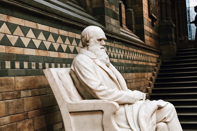 Natural History Museum London - Exclusive Guided Museum Tour - The Sum Up: A Smart Choice for Museum Enthusiasts