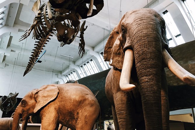 Natural History Museum London - Exclusive Guided Museum Tour - Frequently Asked Questions