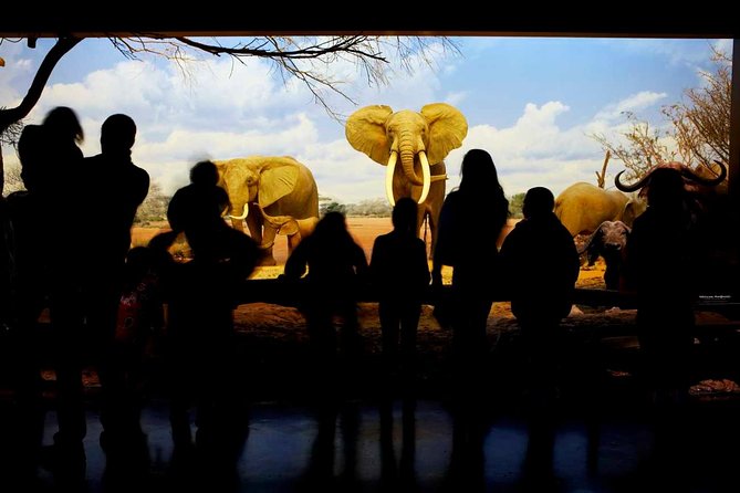 Natural History Museum of Los Angeles County Admission - Family-Friendly Features and Interactive Exhibits