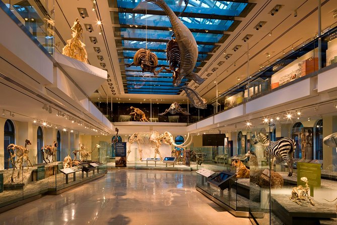 Natural History Museum of Los Angeles County Admission - Practical Information: Opening Hours and Accessibility