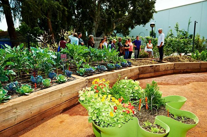 Natural History Museum of Los Angeles County Admission - What Sets This Museum Apart from Others