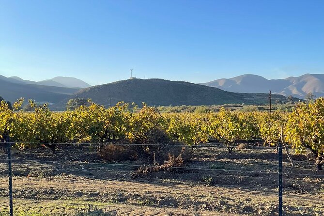 Natural Hot Springs Horseback Riding and Carne Asada Experience - The Guided Horseback Ride at Aguas Termales