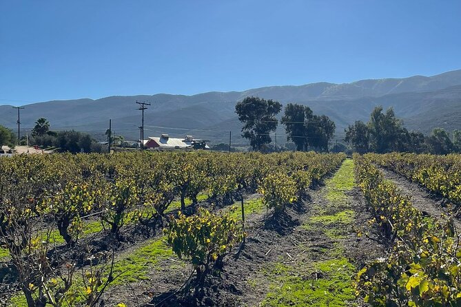 Natural Hot Springs Horseback Riding and Carne Asada Experience - Practical Details: Booking, Accessibility, and Cancellation