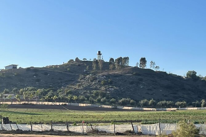 Natural Hot Springs Horseback Riding and Carne Asada Experience - Why Choose This Baja Experience?