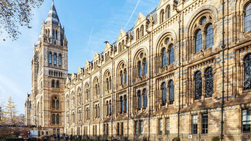 Natural Museum Adventure: Gems, Volcanoes, Dinosaurs - Discovering the Volcanoes and Earth’s Dynamic Forces