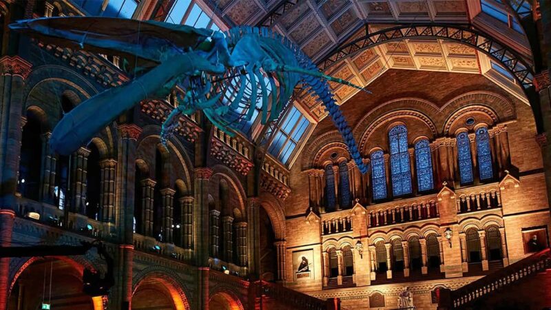 Natural Museum Adventure: Gems, Volcanoes, Dinosaurs - Practical Details and Booking Options