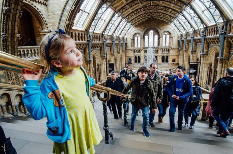 Natural Museum: Diplodocus to Blue Whale Wonders - Key Points