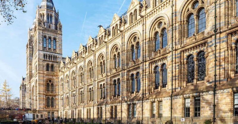Natural Museum: Diplodocus to Blue Whale Wonders - The Imposing Blue Whale Skeleton in Hintze Hall