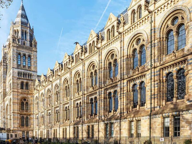 Natural Museum: Diplodocus, Volcanoes, Whale, and Gems - Journey Through Life’s History in the Evolution Gallery