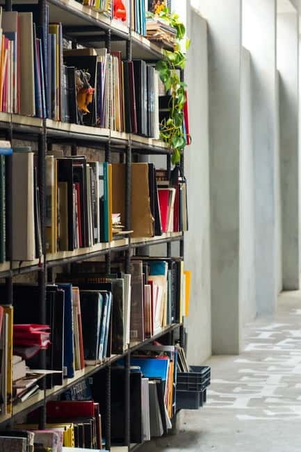 Natural & Organic wine tasting with a winemaker - Booking, Cancellation, and Language Options