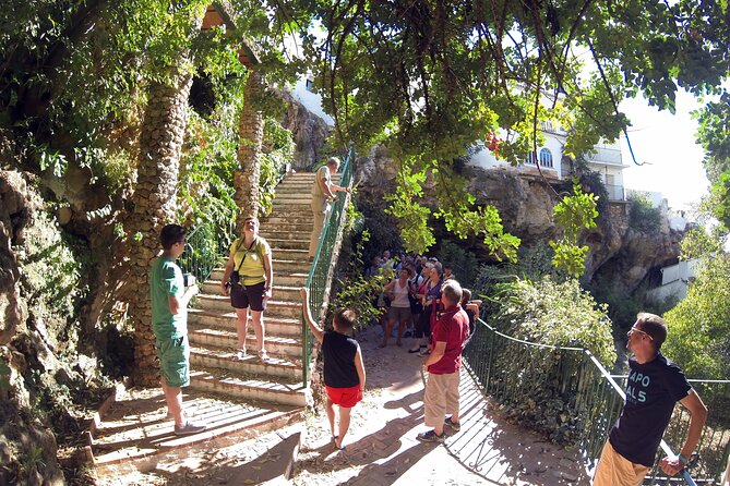 Natural Parck Jeep Eco Tour from Costa del Sol - Discovering Sierra de las Nieves in an Open-Top Land Rover