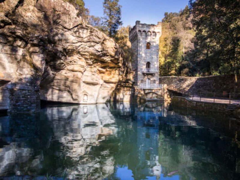 Natural Park and Picnic Experience near Florence - Key Points