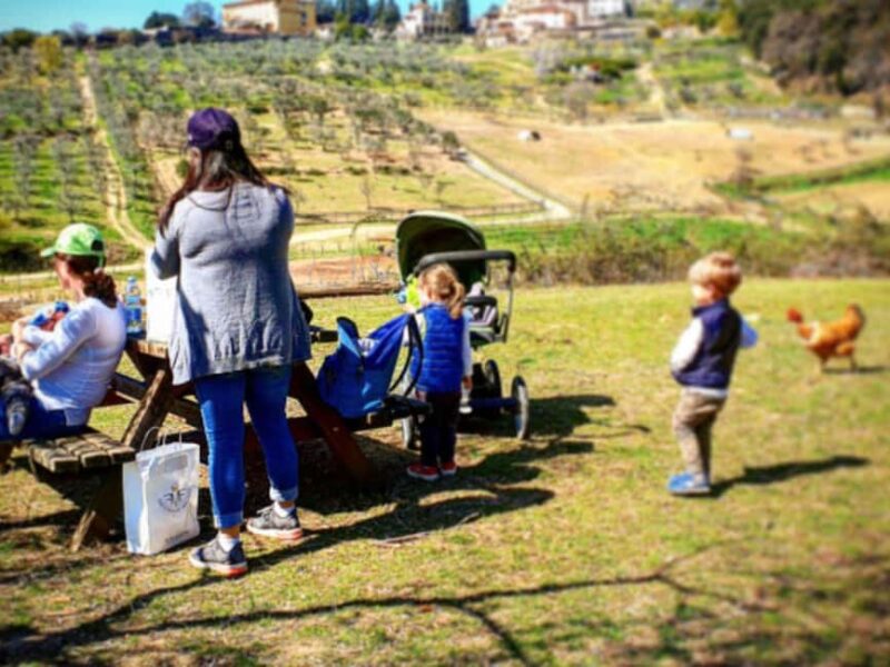 Natural Park and Picnic Experience near Florence - From Florence to the Fiesole Farm: Meeting Point and Access