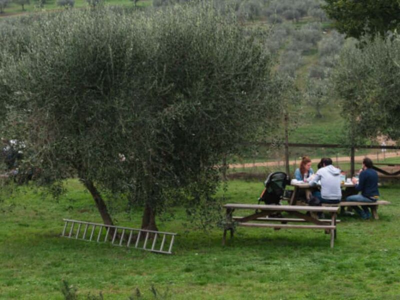 Natural Park and Picnic Experience near Florence - A Taste of Tuscany: The Picnic Experience