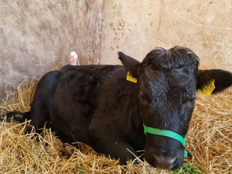 Natural Park and Picnic Experience near Florence - Practical Tips for a Comfortable Day Out