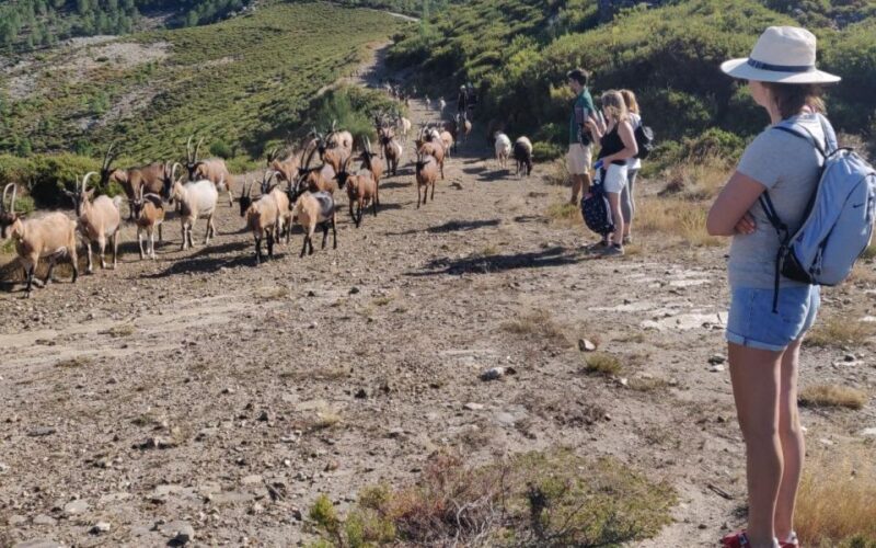 NATURAL PARK OF ALVÃO - FISGAS ERMELO WATERFALLS - Customizable Experience to Match Your Fitness Level