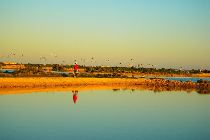 Natural Park Segway Tour with Seafood Lunch in Faro Island - Experience Quality and Personalization