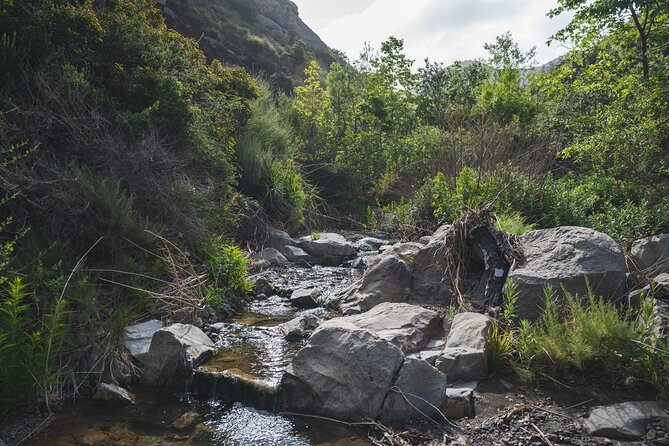 Nature Adventure with Private Transport to Waterfall and more! - Escondido Canyon and Falls: The Main Destination