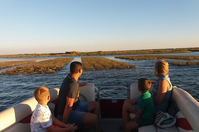 Nature Catamaran Tour from Faro - The Unique Experience of Sailing Through Ria Formosa