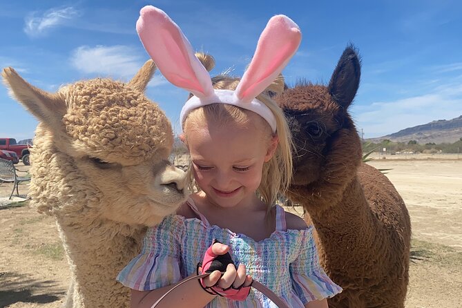 Nature Health Farms Alpaca Farm Petting Zoo Pahrump Death Valley - Discover the Charm of Nature Health Farms Alpaca Farm and Petting Zoo in Pahrump