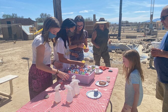 Nature Health Farms Alpaca Farm Petting Zoo Pahrump Death Valley - How to Access Nature Health Farms Petting Zoo in Pahrump