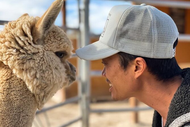 Nature Health Farms Alpaca Farm Petting Zoo Pahrump Death Valley - Practical Tips for Visiting Nature Health Farms in Pahrump