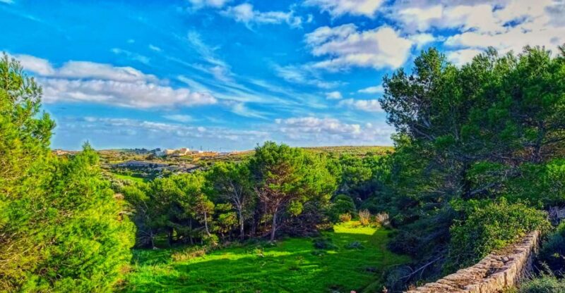 Nature Highlights Private Walking Tour with Transport - Explore Malta’s Natural Wonders with a Private Guide