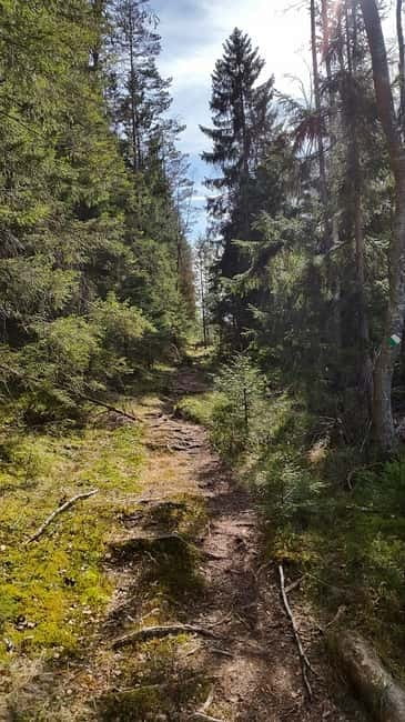 Nature Hike from Stockholm - Exploring Stockholm’s Natural Beauty with a Guided Hike