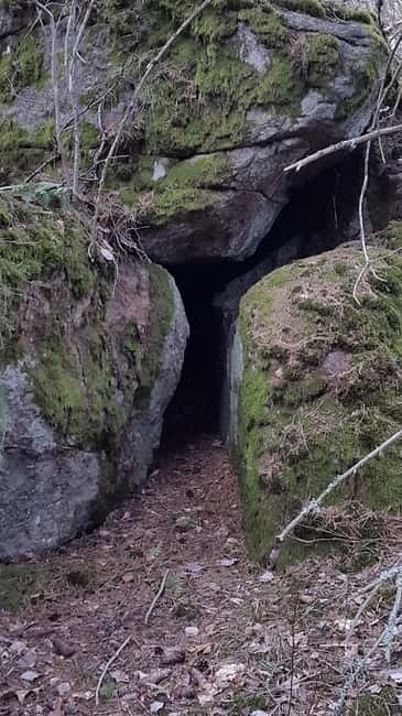 Nature Hike from Stockholm - Hiking Through Dense Pine Forest and Lakeside Trails