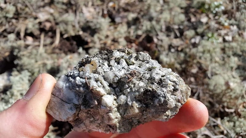 Nature Hike from Stockholm - Exploring Open Forests and Lake Swim Opportunities