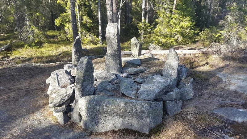 Nature Hike from Stockholm - Wildlife Encounters and the Capercaillie Spotting Chance