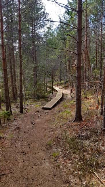 Nature Hike from Stockholm - Practical Details: Whats Included and What to Bring