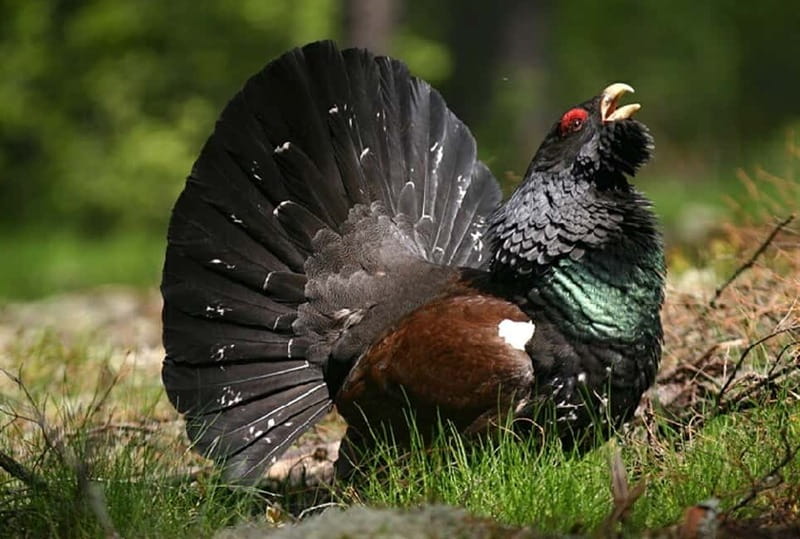 Nature Hike from Stockholm - Logistics and Flexibility