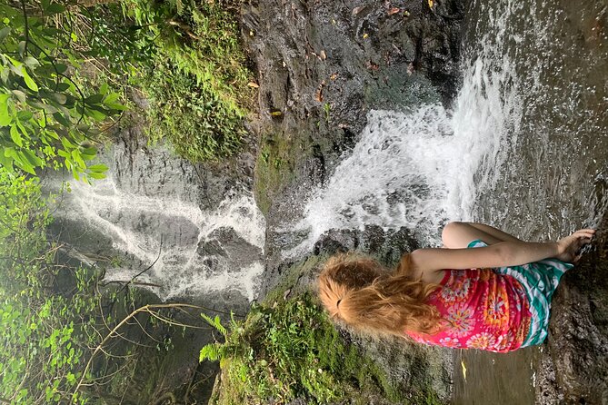 Nature Hike to Waterfall - Logistics: Pickup, Parking, and Accessibility