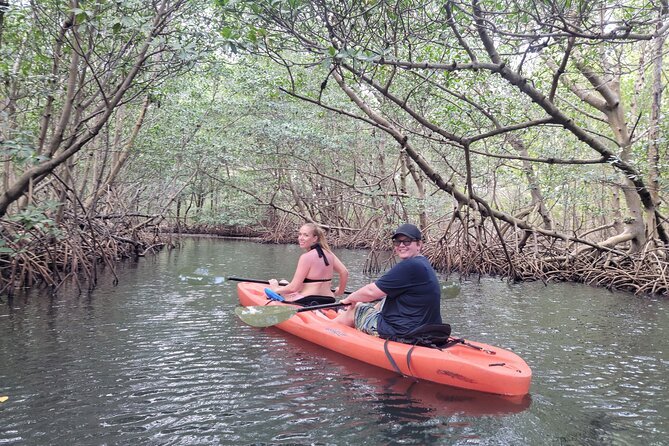 Nature & Island Exploration on SUP/Kayak - Who Guides the Tour and What to Expect