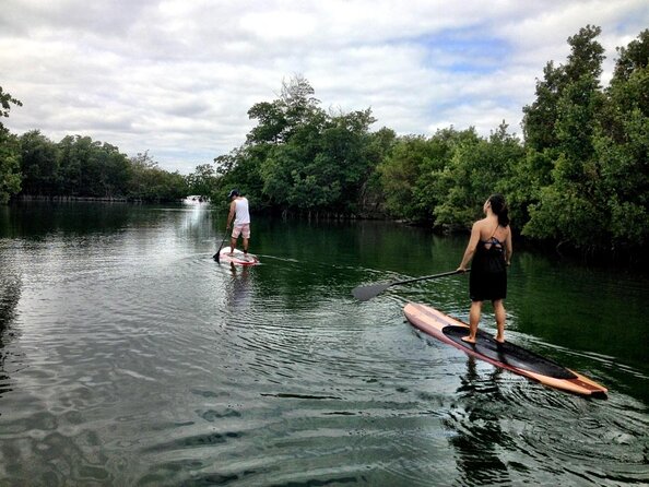 Nature Stand Up Paddle Boarding Experience in Miami - Explore Miami’s Natural Canals and Mangroves by Paddleboard for $45