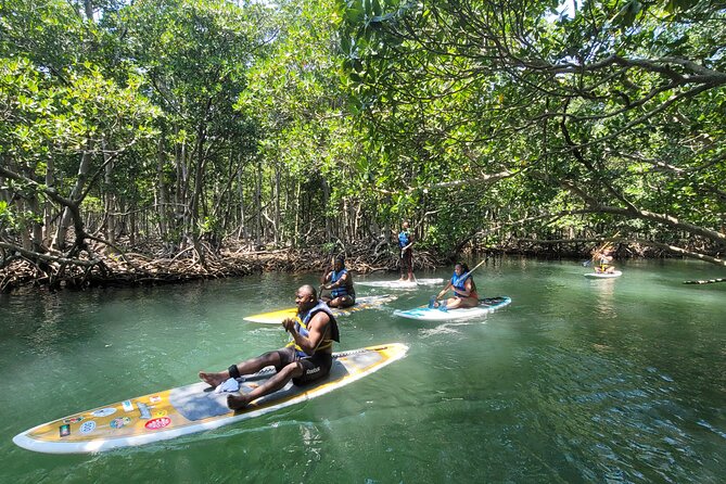 Nature Stand Up Paddle Boarding Experience in Miami - Who Should Consider This Paddleboarding Tour?