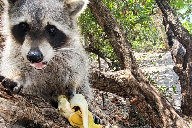 Nature Stand Up Paddle Boarding Experience in Miami - Final Thoughts on the Miami Nature Paddleboard Tour