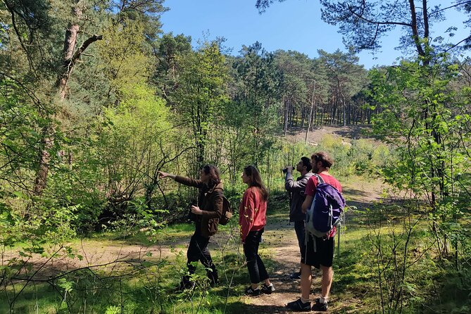 Nature Walk and Wildlife Tour in Sobieszewo Island - Experience with Binoculars and Expert Guidance